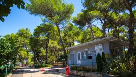 Arena Runke Campsite