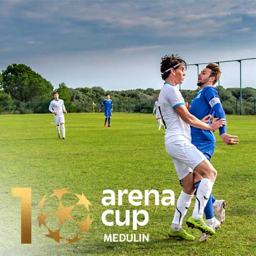 Arena cup