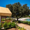 Arena Stoja Campsite