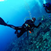 16 Diving Center Hippocampus2