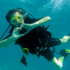 24 Diving Center Hippocampus2