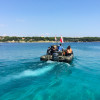3 Diving Center Hippocampus