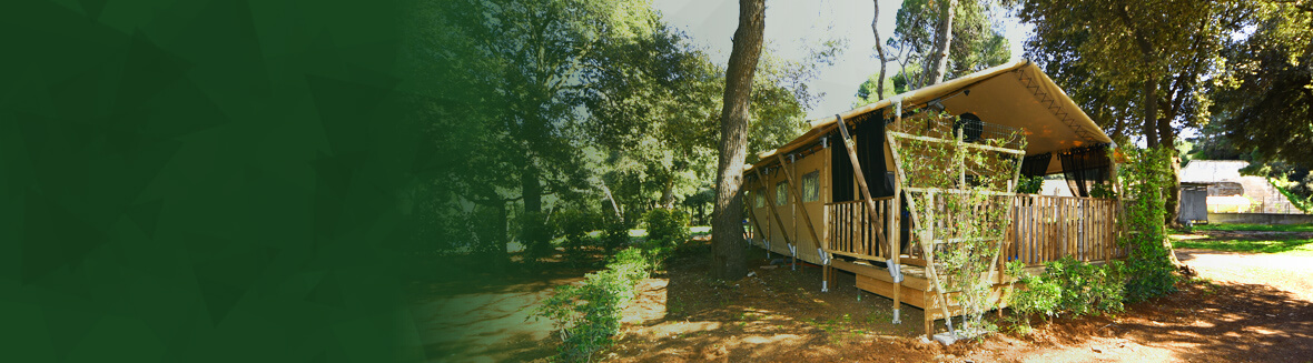 Luxury camping